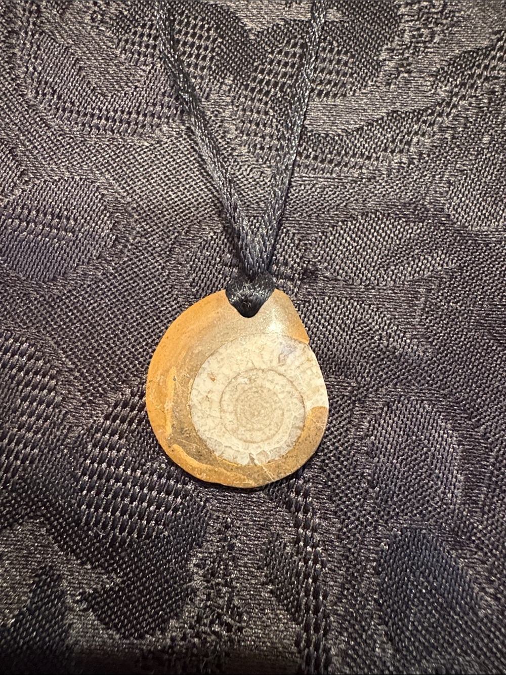 Fossil Ammonite Pendant Necklace in Brown